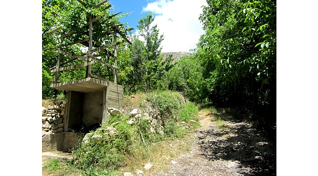 TAŞELİ’DE SULAMA SIKINTISI ÇİFTÇİYİ ENDİŞELENDİRDİ