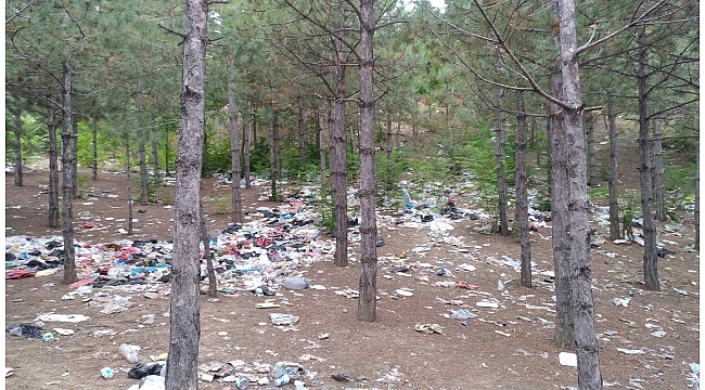 KARAMAN’DA “ÇÖPÜMÜ TOPLUYORUM” KAMPANYASI