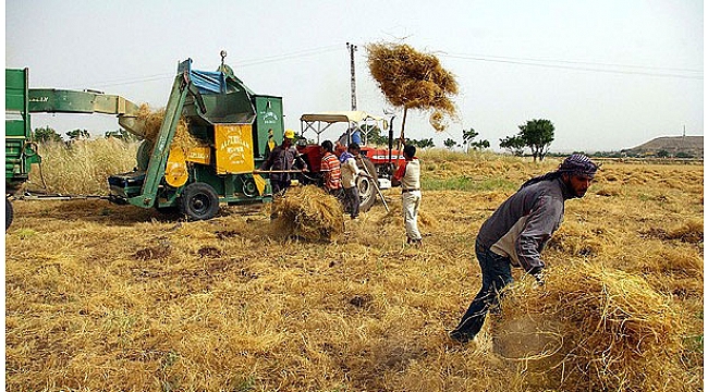 TARIMSAL DESTEKLER AYLAR SONRA NİHAYET AÇIKLANDI!