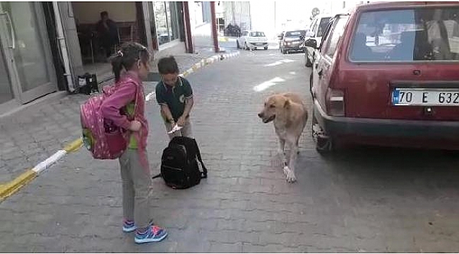 YARALI KÖPEĞE ÇOCUK ŞEFKATİ