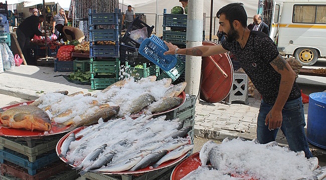 KARAMAN’DA BALIK FİYATLARI KIŞTAN BUYANA DEĞİŞMEDİ
