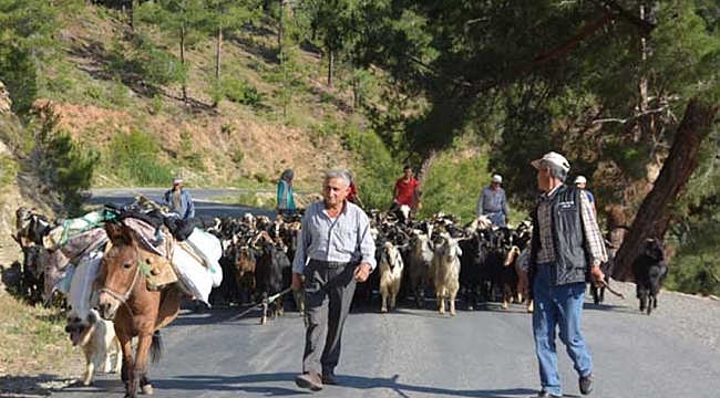 YÖRÜKLERİN YAYLARA GÖÇÜ BAŞLADI
