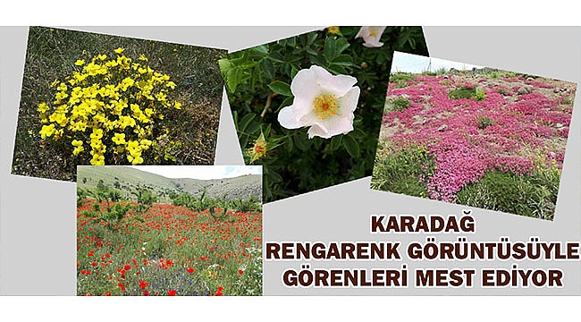 KARADAĞ RENGARENK GÖRÜNTÜSÜYLE GÖRENLERİ MEST EDİYOR