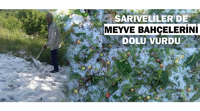 SARIVELİLER'DE MEYVE BAHÇELERİNİ DOLU VURDU