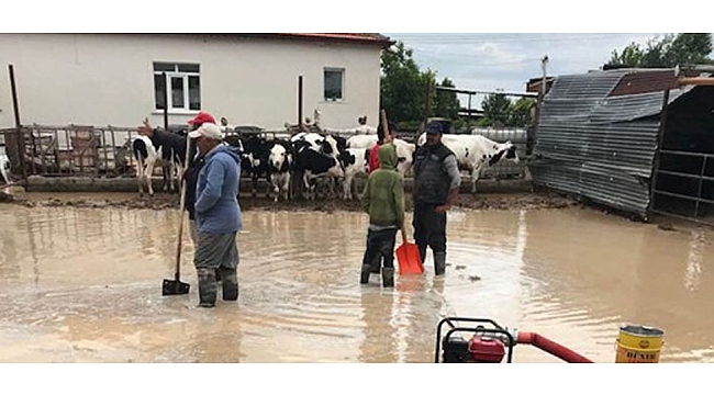 SELDEN ZARAR GÖREN KAMENİ KÖYÜNDE HUMMALI ÇALIŞMA