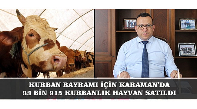 KURBAN BAYRAMI İÇİN KARAMAN’DA 33 BİN 915 KURBANLIK HAYVAN SATILDI