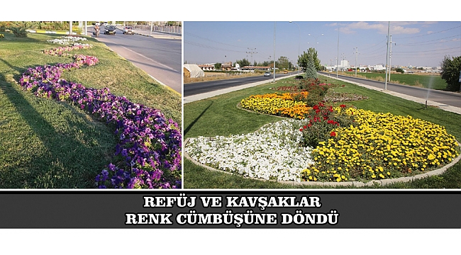 REFÜJ VE KAVŞAKLAR RENK CÜMBÜŞÜNE DÖNDÜ