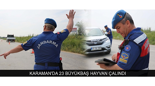 KARAMAN'DA 23 BÜYÜKBAŞ HAYVAN ÇALINDI