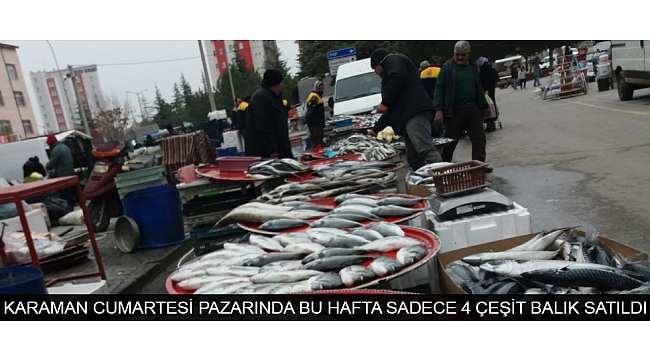 KARAMAN CUMARTESİ PAZARINDA BU HAFTA SADECE 4 ÇEŞİT BALIK SATILDI