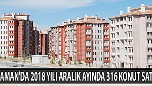 KARAMAN’DA 2018 YILI ARALIK AYINDA 316 KONUT SATILDI