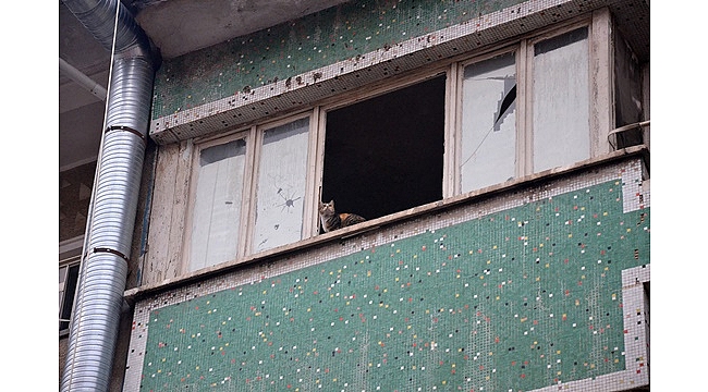İsmet Paşa Caddesinde Kedi Kurtarma Operasyonu
