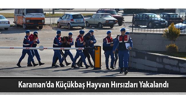 Karaman’da Küçükbaş Hayvan Hırsızları Yakalandı