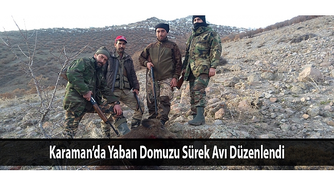 Karaman’da Yaban Domuzu Sürek Avı Düzenlendi