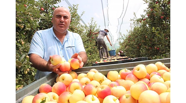 Mehmet Bayram Elma Üreticilerini Uyardı