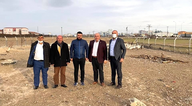 Hobi Amacıyla Başlayan Kaz Üretimi Beklenenin Üzerine Çıktı