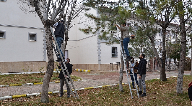 Karaman'da Öğretmenler Kuş Evleri Yaptı