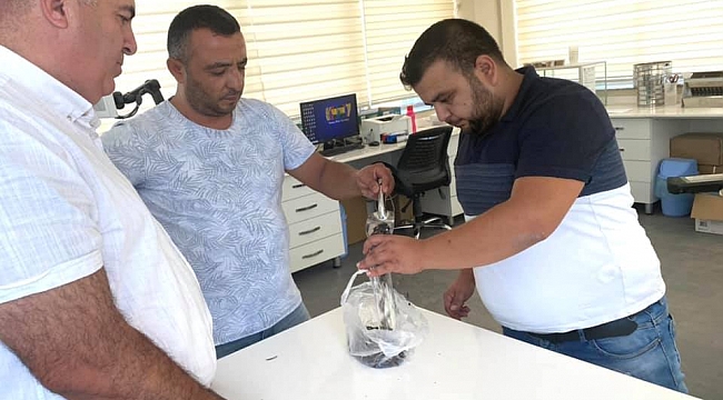 Karaman'da Yağlık Ayçiçeği Üreticilerinin Dikkatine