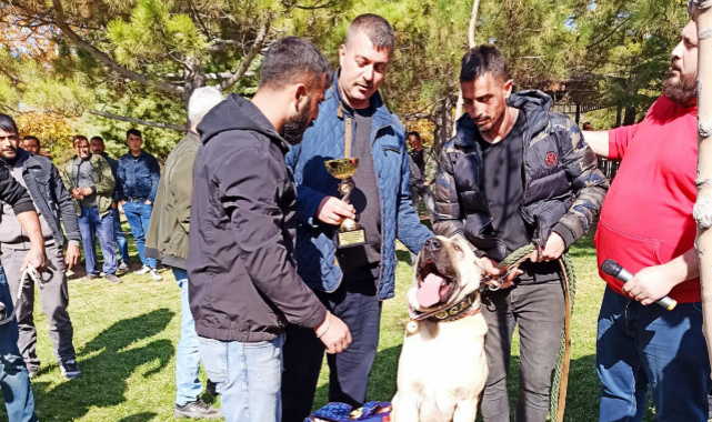 Canpolat Türkiye 1.'si Seçildi