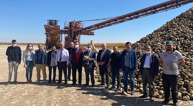 Karaman'da 500 Bin Ton Pancar Rekoltesi Bekleniyor
