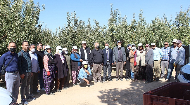 Karaman'da Elmada Hasat Kayıplarının En Aza İndirilmesi İçin Çalışma Başladı