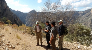 Nunu Vadisinde İncelemelerde Bulundular