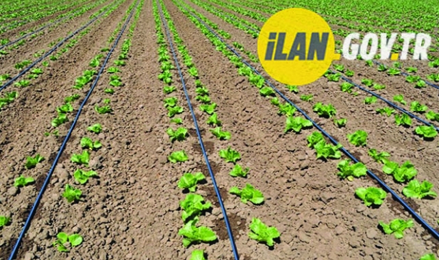 Damla Sulama Malzemeleri Satın Alınacaktır