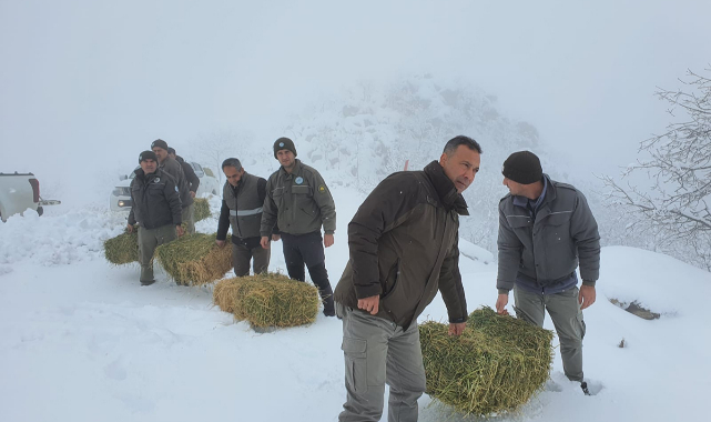 Yaban Hayvanları Aç Kalmasın Diye 990 Kg Yonca Bıraktılar