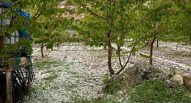 Ermenek Ve Sarıveliler'de Dolu Yağışı Ekili Alanlara Zarar Verdi