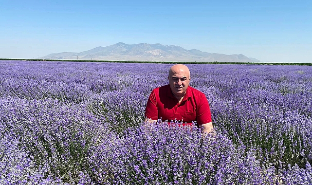 Karaman Lavantanın Merkezi Olacak