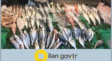 14 Adet Dükkan Kiraya Verilecek