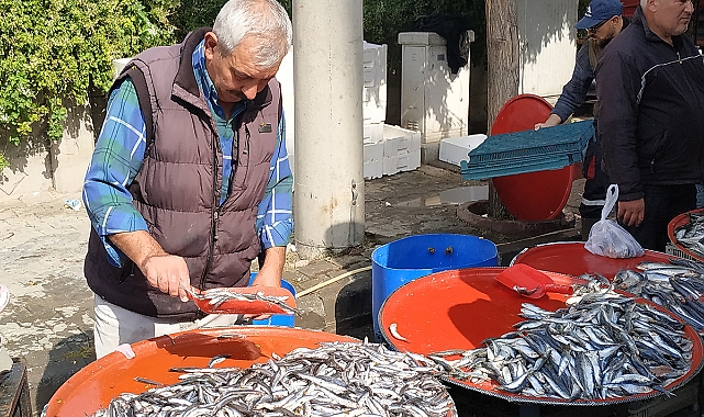 Karadeniz Hamsisi Semt Pazarında 35 TL