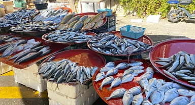 Hamsinin Fiyatı Düştü