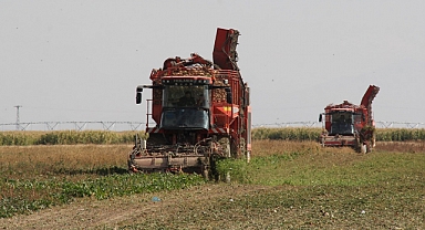 Konya Şeker’den 180 Milyon 281 Bin TL Pancar Söküm Avansı