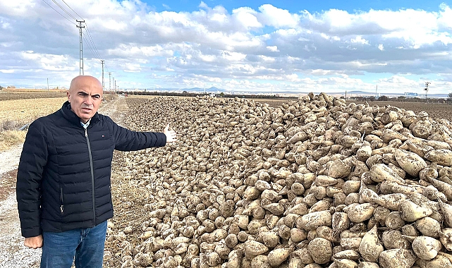 Karaman'da Pancar Tarlada Kaldı
