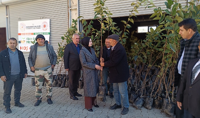 Sarıveliler'de Üreticiye Badem, Zeytin ve Trabzon Hurması Fidanı Dağıtıldı