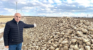 Karaman Bu Yıl 560 Bin Ton Pancar Üretimi İle Rekor Kırdı