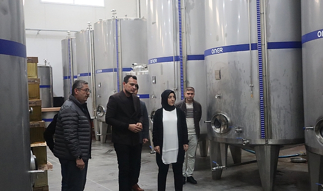Karaman Zeytinyağı Dünya Pazarında
