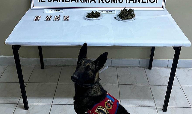 ‘Elmas’ Uyuşturucuya Geçiş Yok Dedi