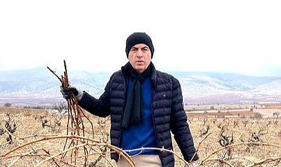 Ekşikara Üzüm Bağlarında Budama/Dikim Dönemi