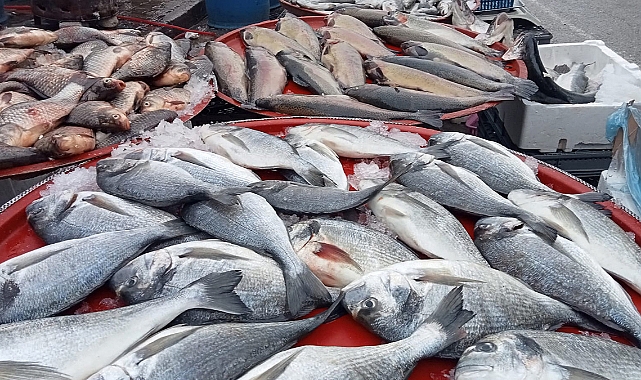 Karaman'da Balık Fiyatları Arttı