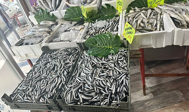 Balık Satışı Yapılan İşyerleri Denetlendi
