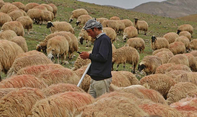 Bayram: “Afgan Uyruklu Tarım İşçilerinin İşverenlerden Talep Ettiği Keyfi Maaş Masrafı Kabul Edilemez”