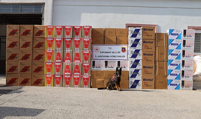 Jandarmanın Kaçakçılık Operasyonunda 2 Kişi Tutuklandı
