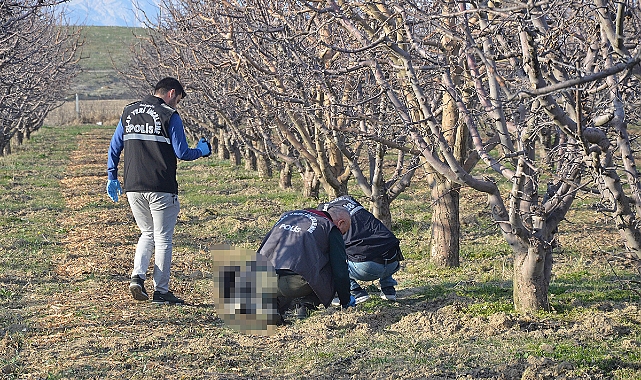 Karaman'da Bir Kişi Bahçede Ölü Bulundu