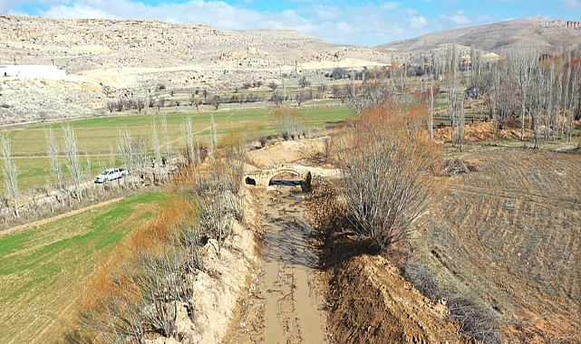 Yeşil Karıncalar İş Başında