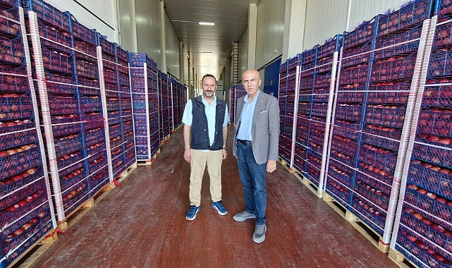 Elmalar Üreticinin Elinde Kalma Riski İle Karşı Karşıya