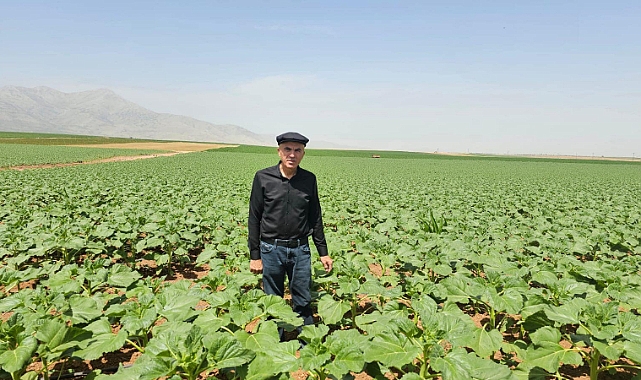 Bayram: “Gübre ve Yemde KDV Artışı Yanlış”