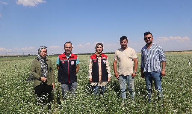 İl Müdürü Bulut’tan Karabuğday Üreticisi Koyuncu’ya Ziyaret