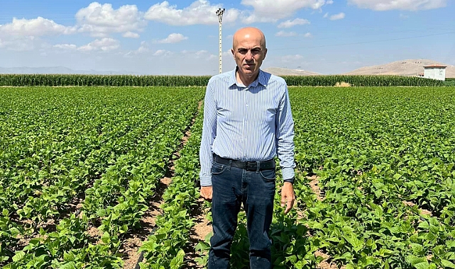 Karaman'da Fasulye Üretimi Yeniden Artışa Geçti