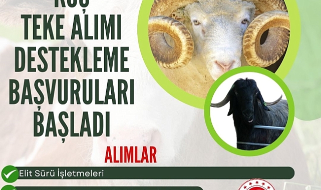 Koç/Teke Alımı Desteklemesi Başvuruları Başladı